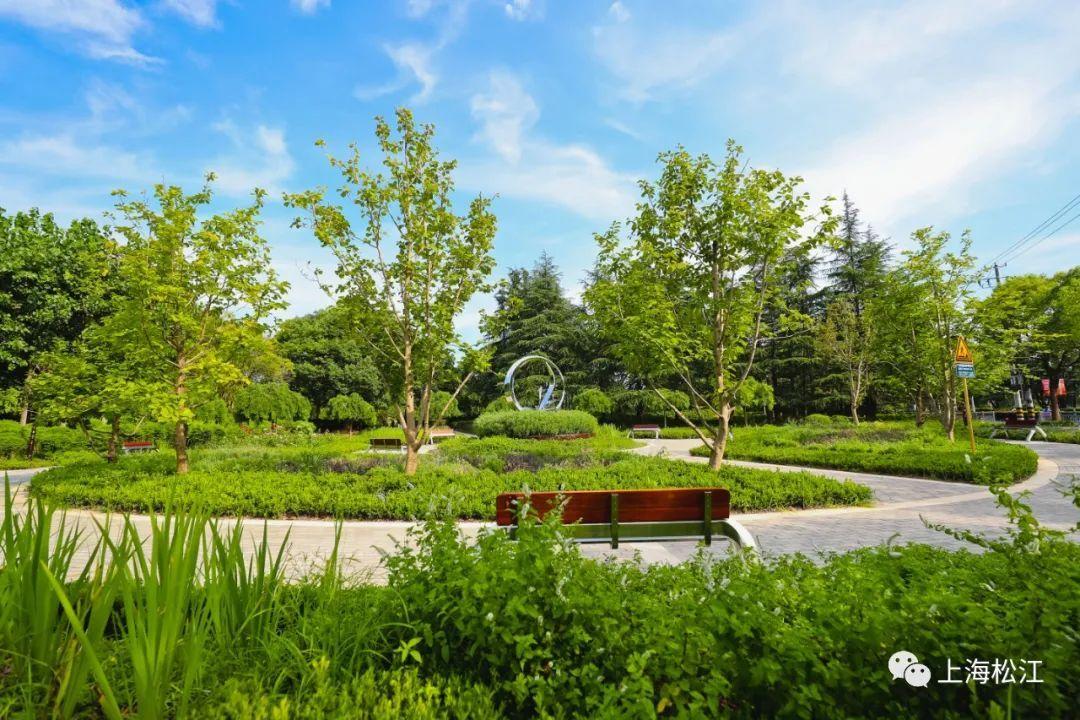 松江文诚路改造完成,滨水绿地,景观绿道,香花花园